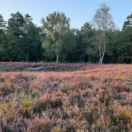 Appartement Zinne-wigger