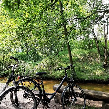 Zinne-wigger Steimbke