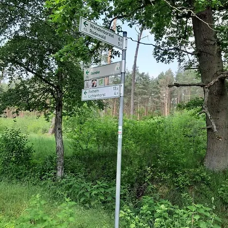 Zinne-wigger Lejlighed