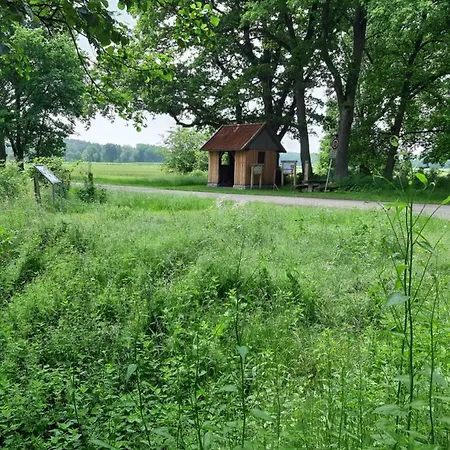 Zinne-wigger Lejlighed *