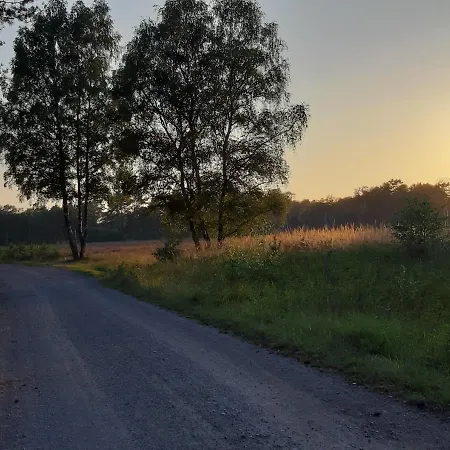 Zinne-wigger * Steimbke