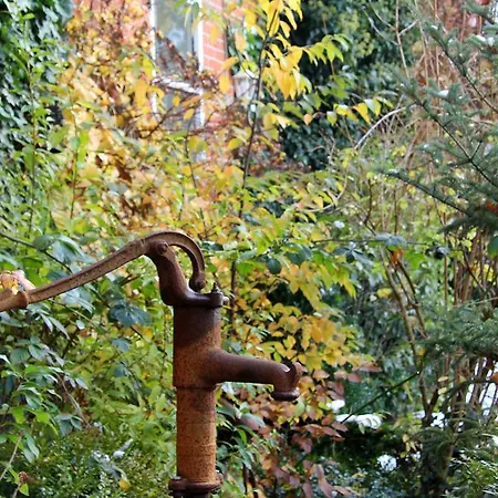 Zinne-wigger Lejlighed