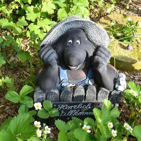 Appartement Zinne-wigger