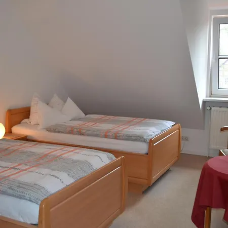 Zinne-wigger * Steimbke