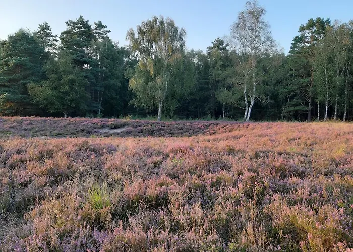 Апартаменты Zinne-wigger