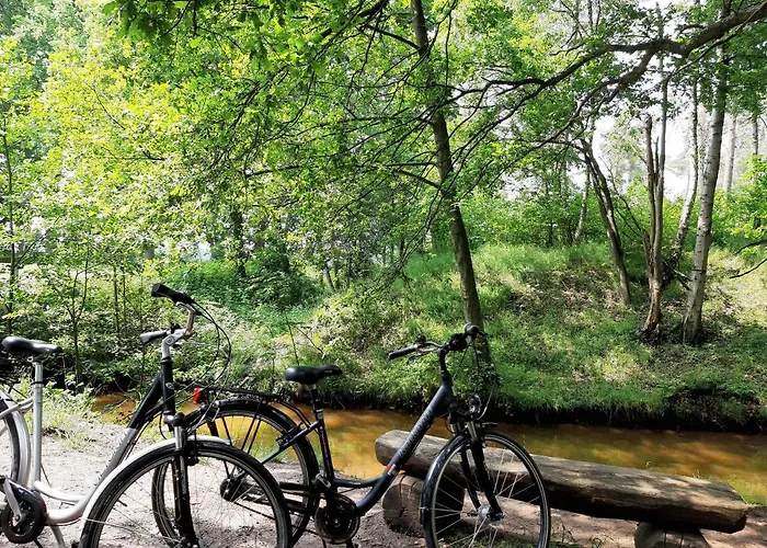 Zinne-wigger Steimbke