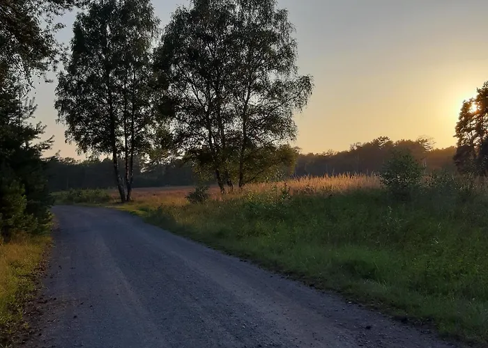 Zinne-wigger * Steimbke