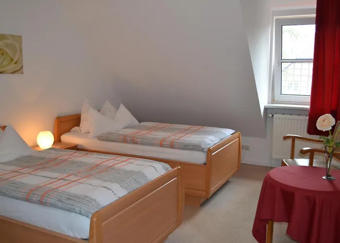 Zinne-wigger * Steimbke