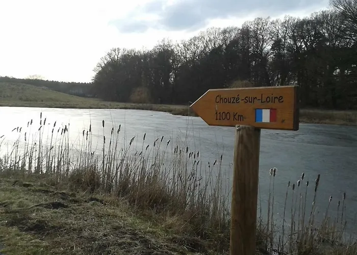 Zinne-wigger * Steimbke